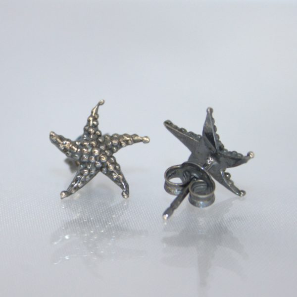Stelle Marine - immagine 4