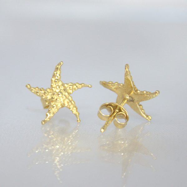 Stelle Marine - immagine 3