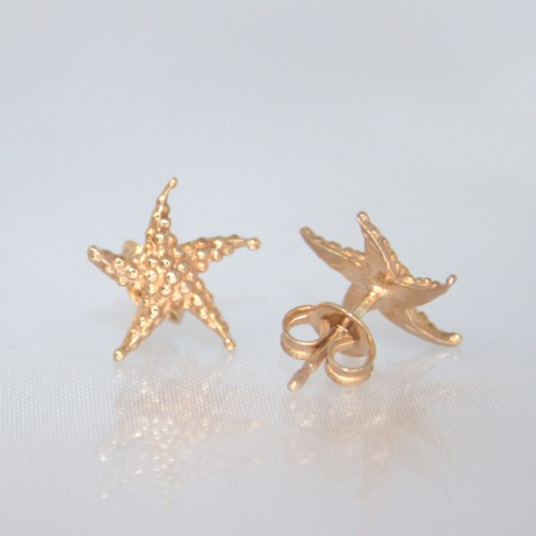 Stelle Marine - immagine 2