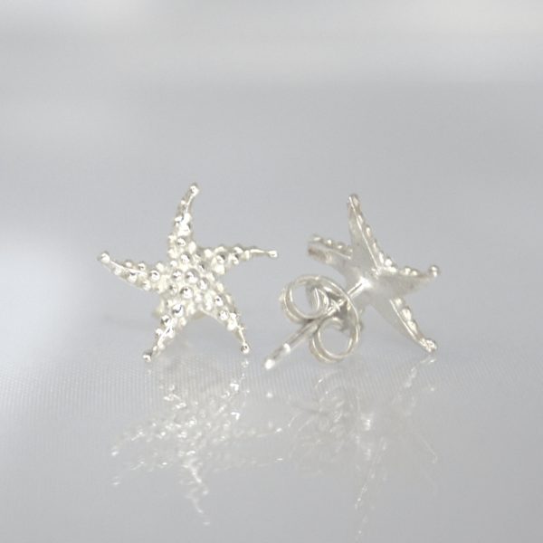 Stelle Marine - immagine 5